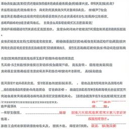 虚拟皇帝：键盘王座